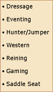 Text Box: DressageEventingHunter/JumperWesternReiningGamingSaddle Seat